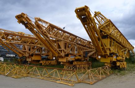 21 grues de Ouest Grue vendues aux enchères 