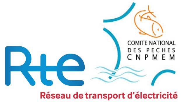 RTE et le Comité national des pêches engagent leur coopération