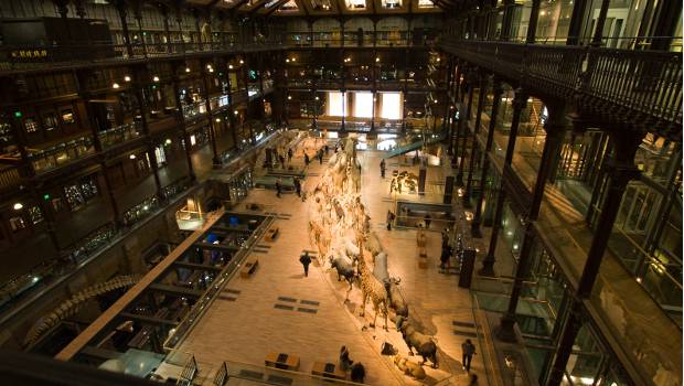 Paris : le CEBTP renforce le Musée d'histoire naturelle