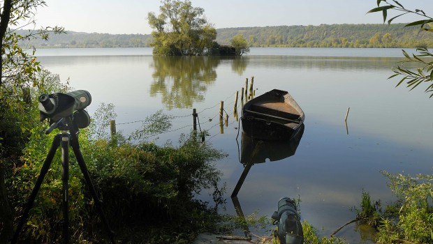 Les carrières à la reconquête des zones humides