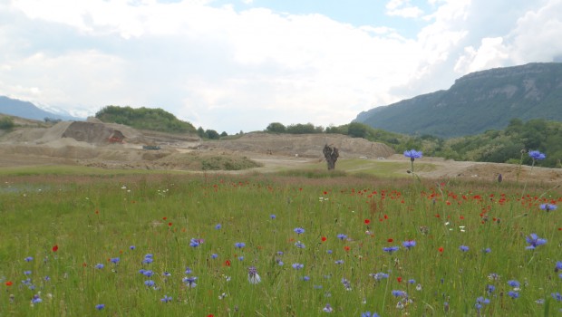 Vicat s'engage pour la biodiversité