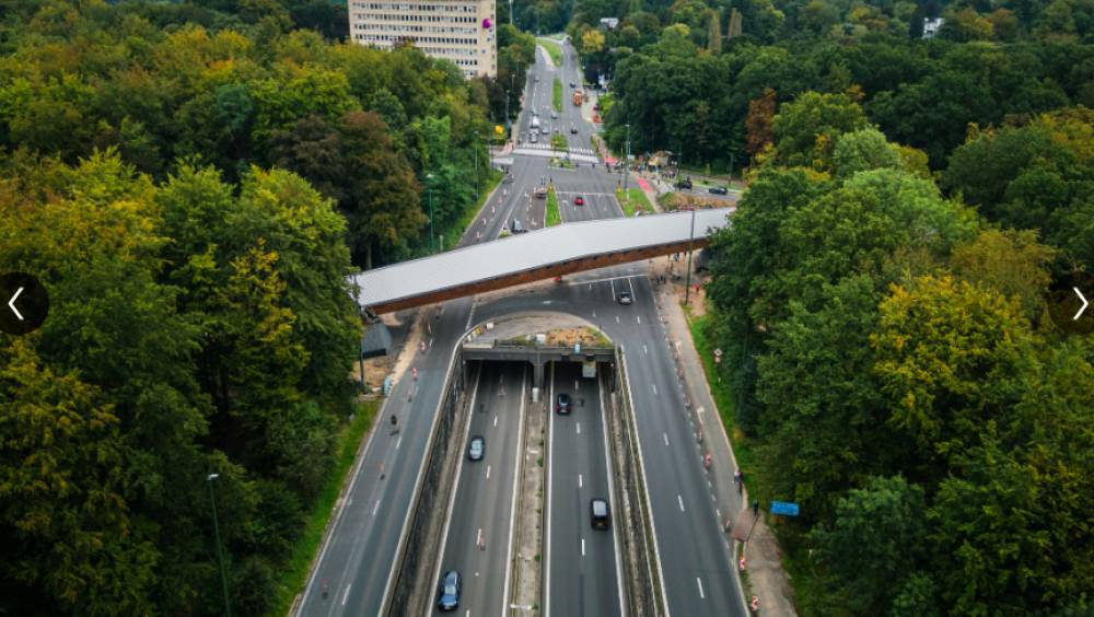 Sarens installe un pont en bois en Belgique