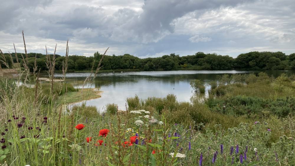 Holcim France : une démarche volontaire en faveur de la biodiversité